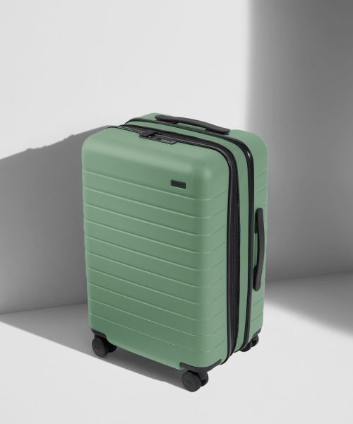 The Bigger Carry-On Flex in Sea Green