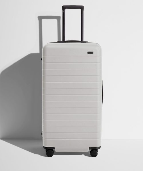 The Trunk in Cloud Gray
