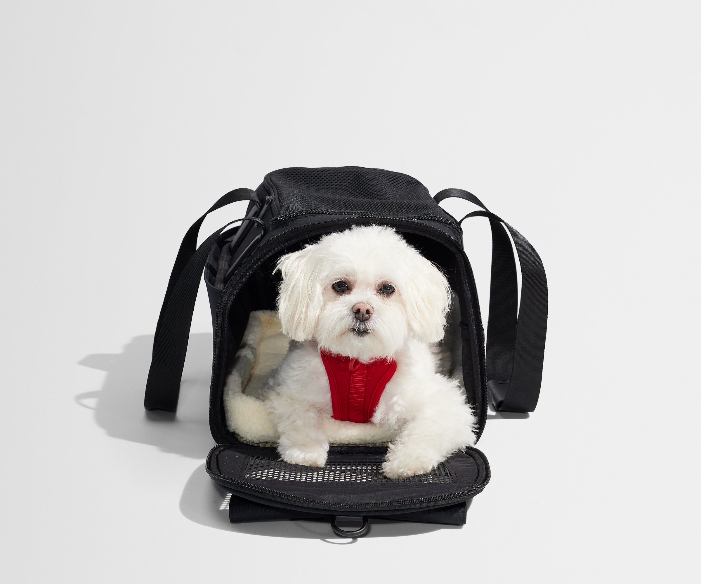 PDP_PetCarrier_Black_04-1.jpg