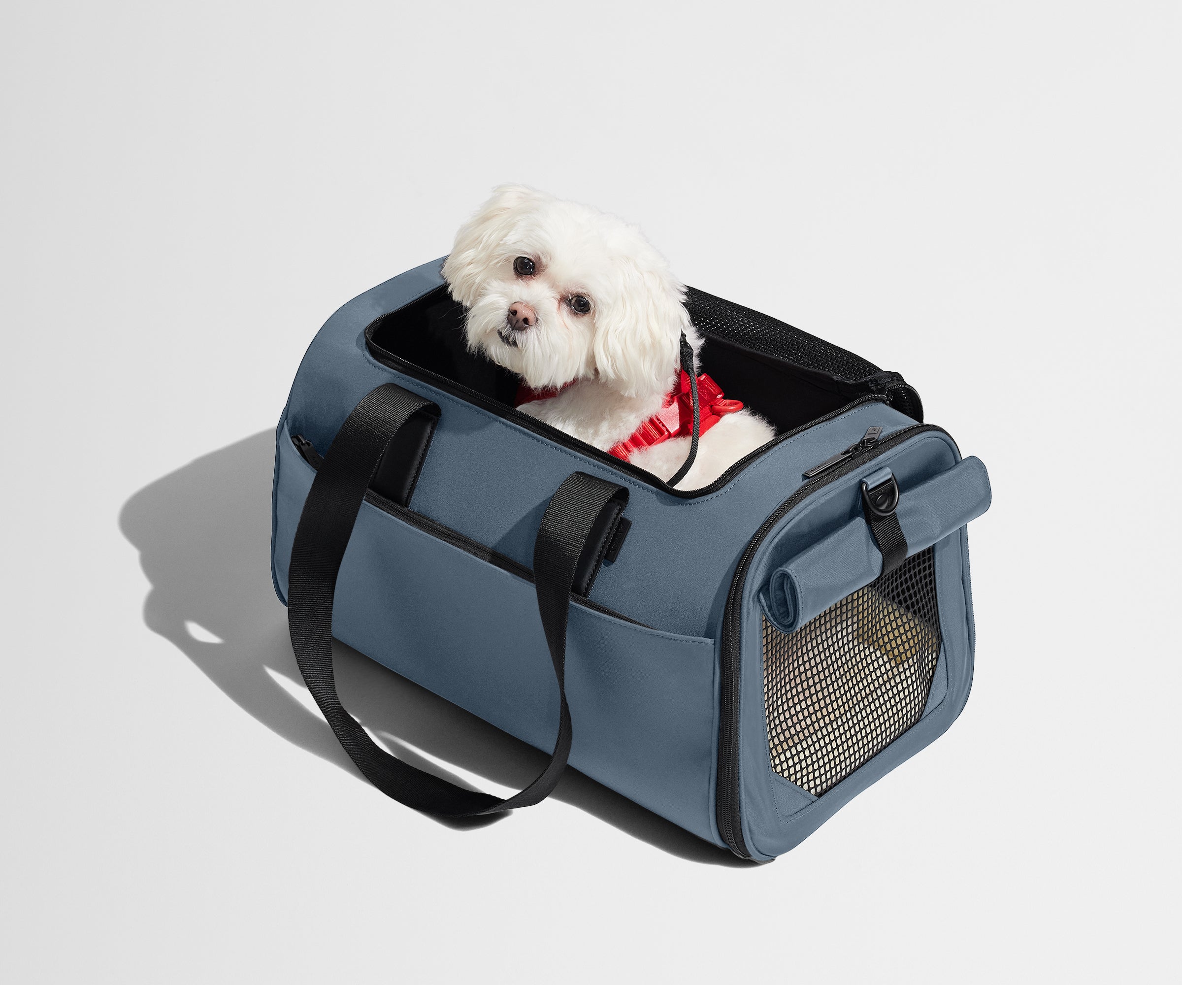 PDP_PetCarrier_Coast_03.jpg